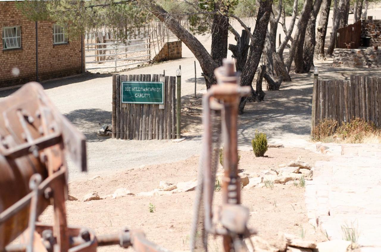 Hutchinson Desert Dew Guest House מראה חיצוני תמונה